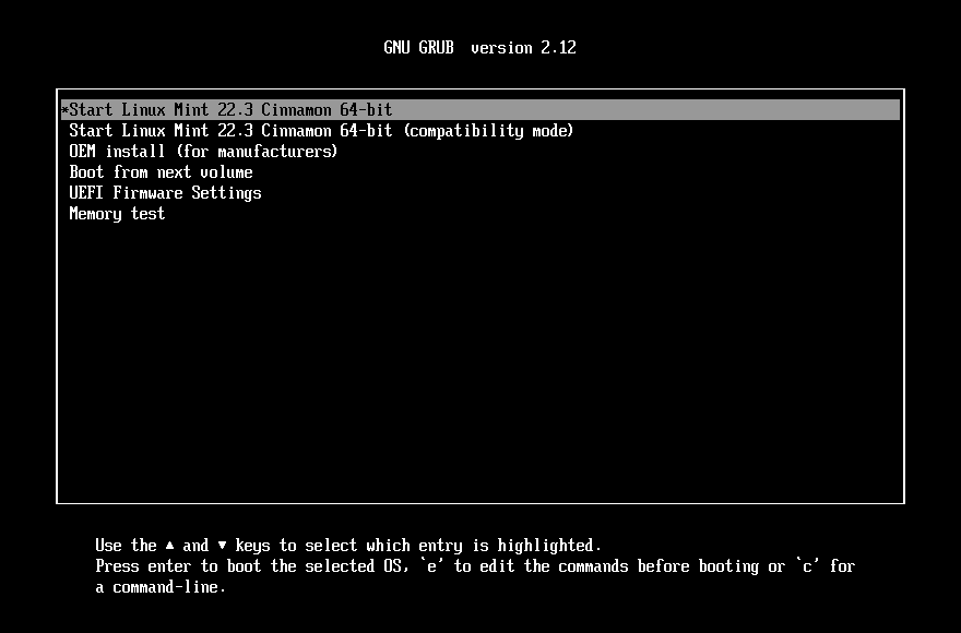 The menu on the USB stick. Press Enter on Start Linux Mint.